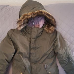 The northface Greenland Waterproof 550 Down Jacket
